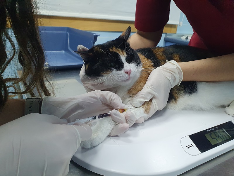 Clinica Veterinaria el Parque 14