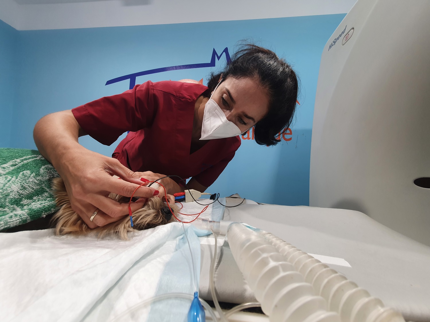 Clinica Veterinaria el Parque 10