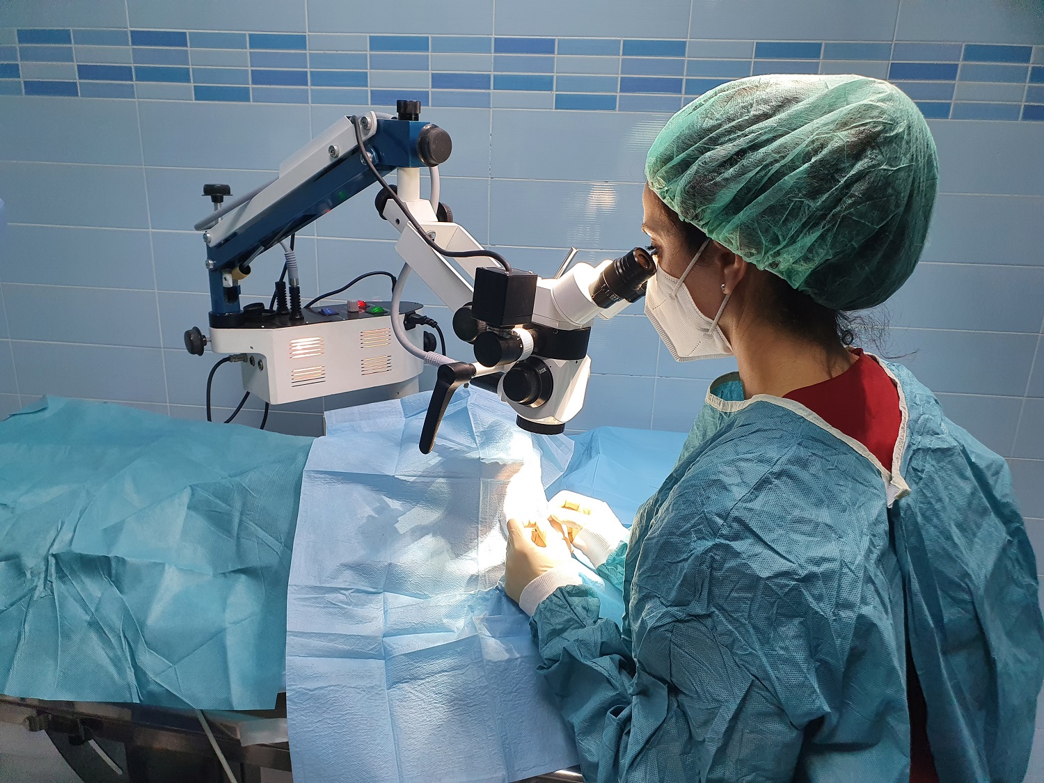 Clinica Veterinaria el Parque 6