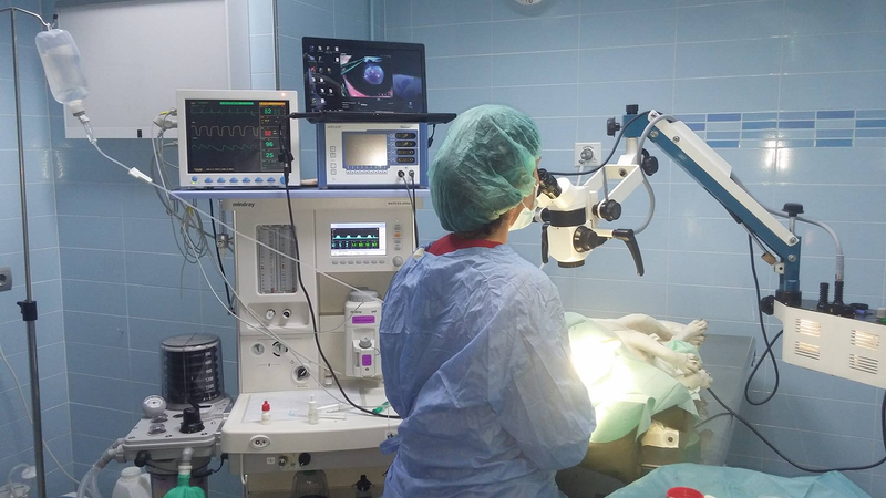 Clinica Veterinaria el Parque Talavera de la Reina