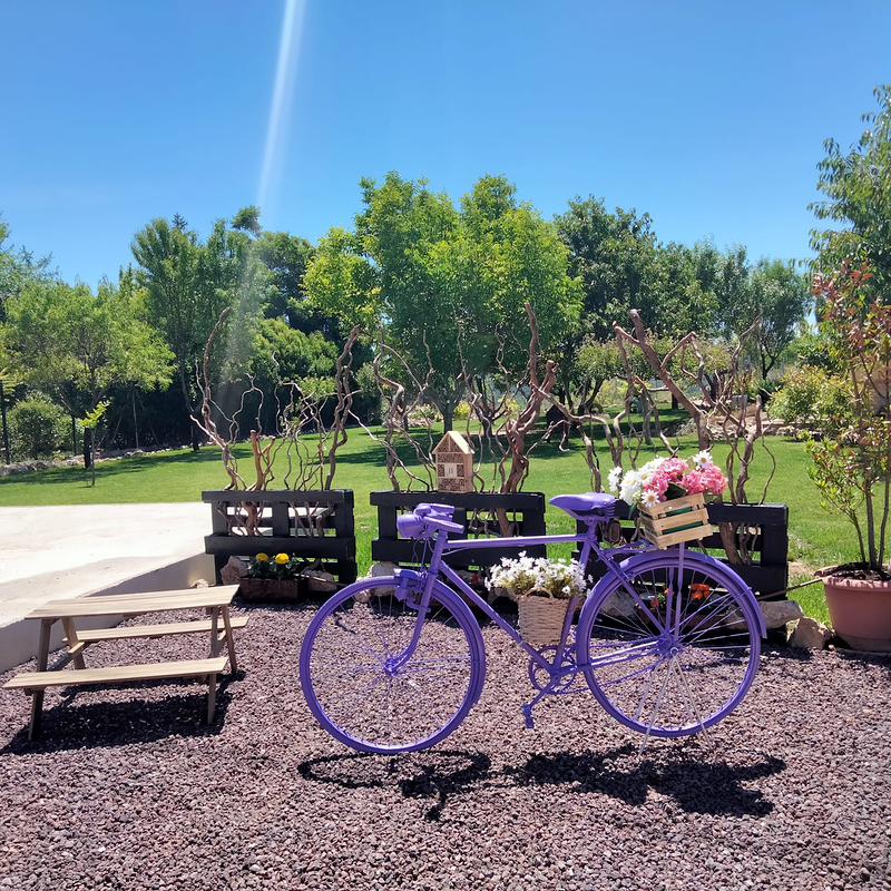 Restaurante Sexto Sentido 15