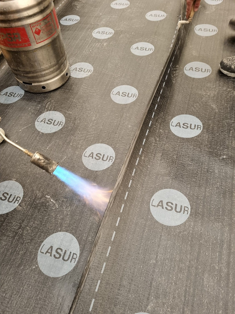 Bagelsa Reformas en General 11