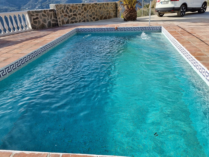 Bagelsa Reformas en General 16