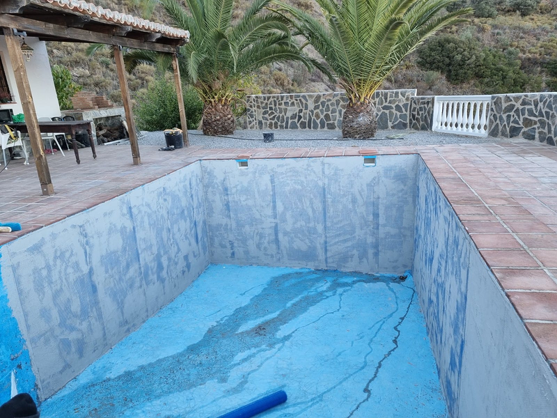 Bagelsa Reformas en General 4