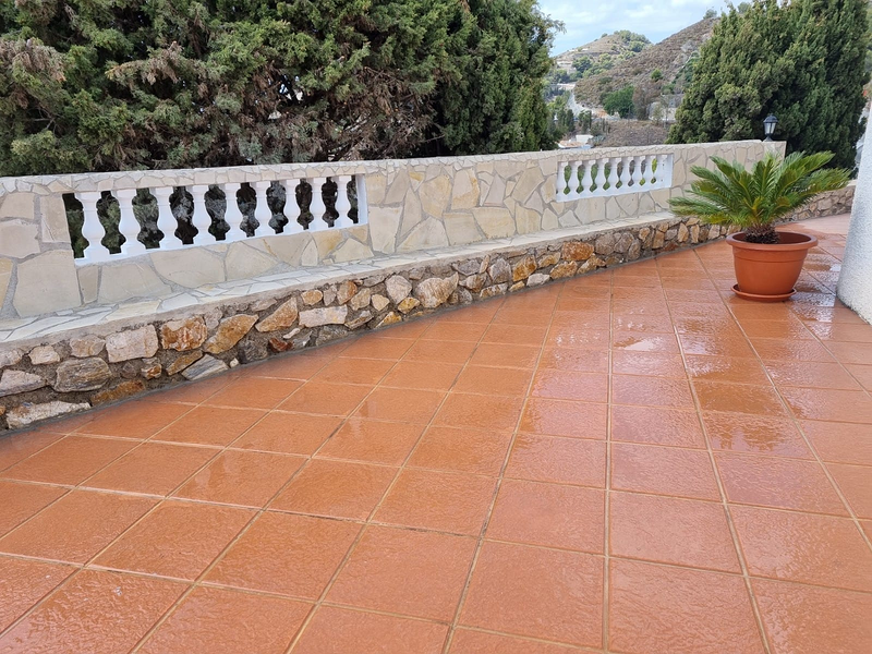 Bagelsa Reformas en General 9