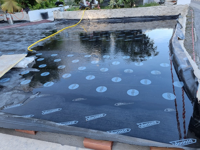 Bagelsa Reformas en General 10