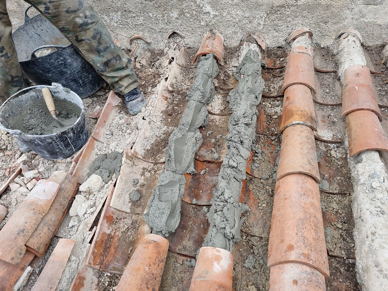 Bagelsa Reformas en General 2