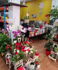 Florister&iacute;a Madreselva 6