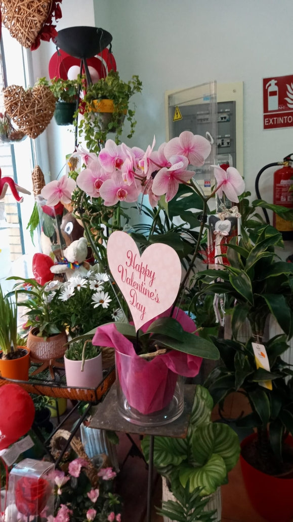 Florister&iacute;a Madreselva 3