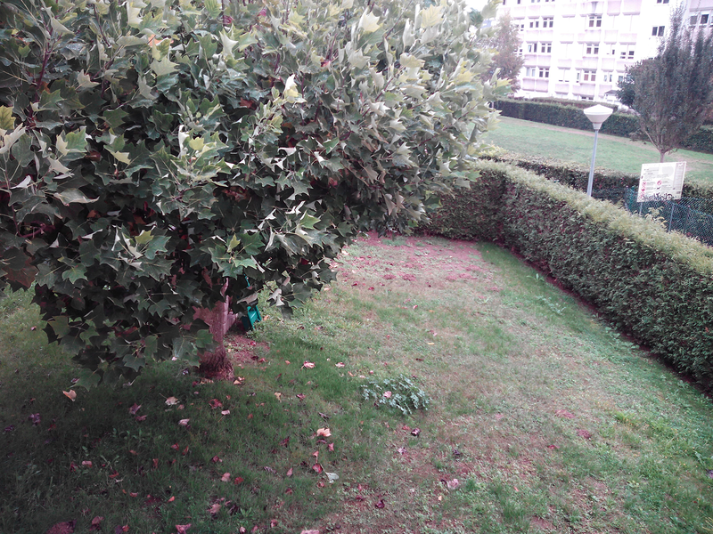 Escuela Infantil Pepa Vagalume 4