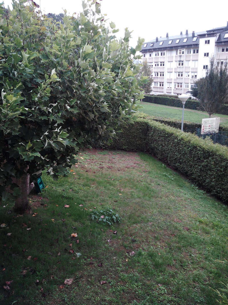 Escuela Infantil Pepa Vagalume 5