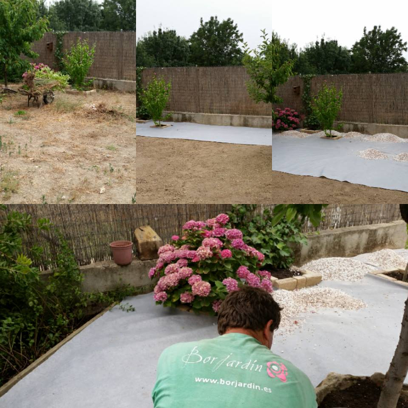 Borjard&iacute;n JARDINERIA: EMPRESAS DE SERVICIOS