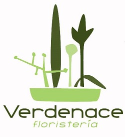 Floristería Verdenace