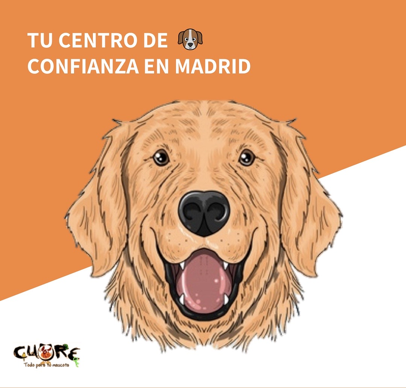 Mascotas Cuore PELUQUERIAS CANINAS