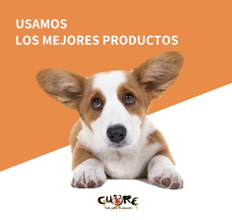 Mascotas Cuore San Sebastián de los Reyes