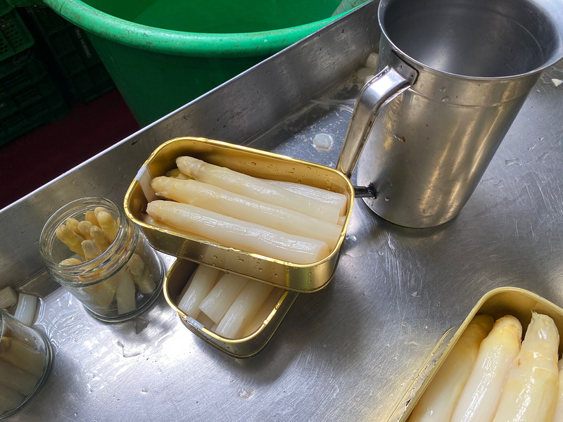 Atxispe Iberikoak 13