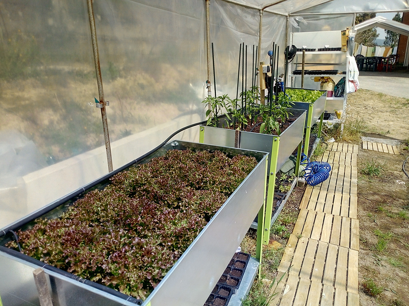 Edades Vivienda de Mayores 13