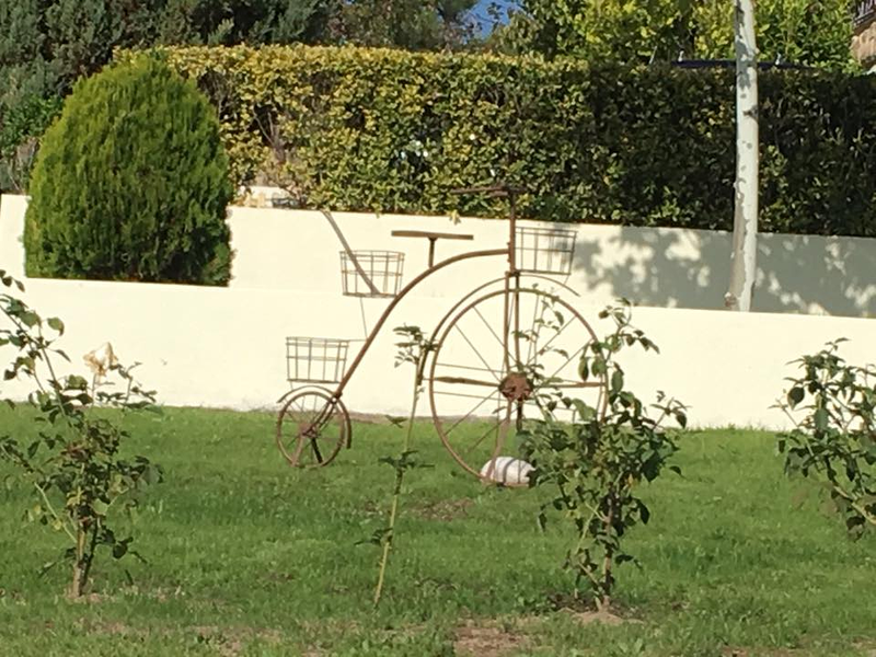 Edades Vivienda de Mayores Ourense