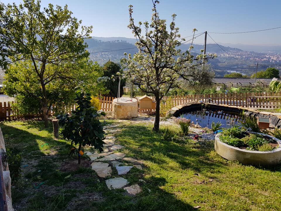 Edades Vivienda de Mayores 5