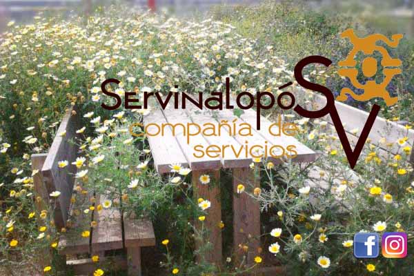Servinalopo 10