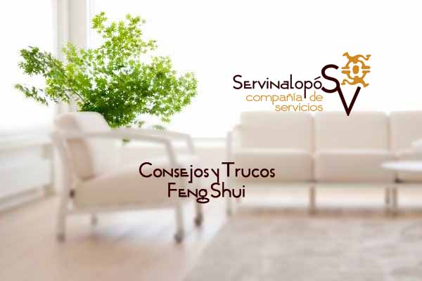 Servinalopo 24