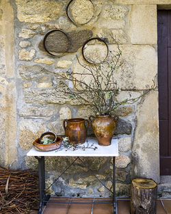 Galería de imágenes