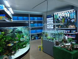 Galería de imágenes