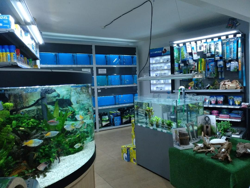 Mundo Animal Onda Onda