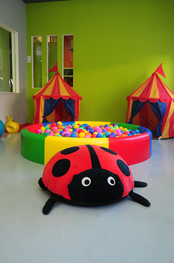 Galería de imágenes