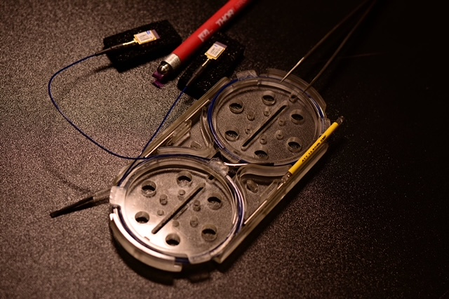 SSDivision Technology 4