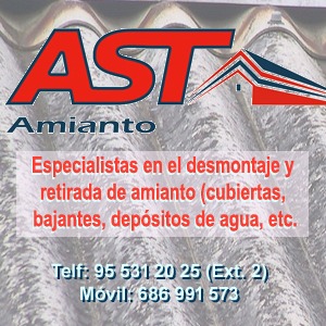 Ast Amianto DESAMIANTADO DE EDIFICIOS Y MATERIALES: SERVICIOS