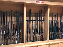 Galería de imágenes