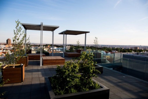 Galería de imágenes