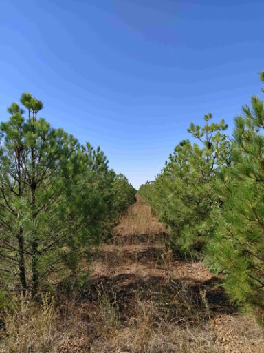 Villanueva Igal S.C.