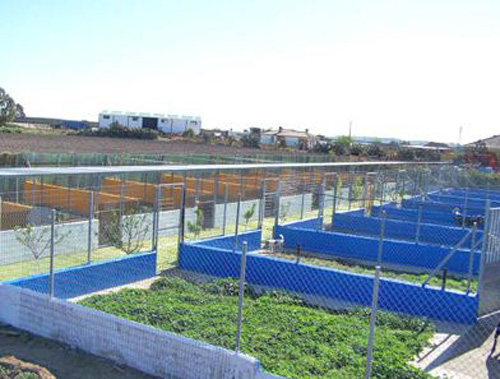 Residencia de Mascotas Los Perales 2