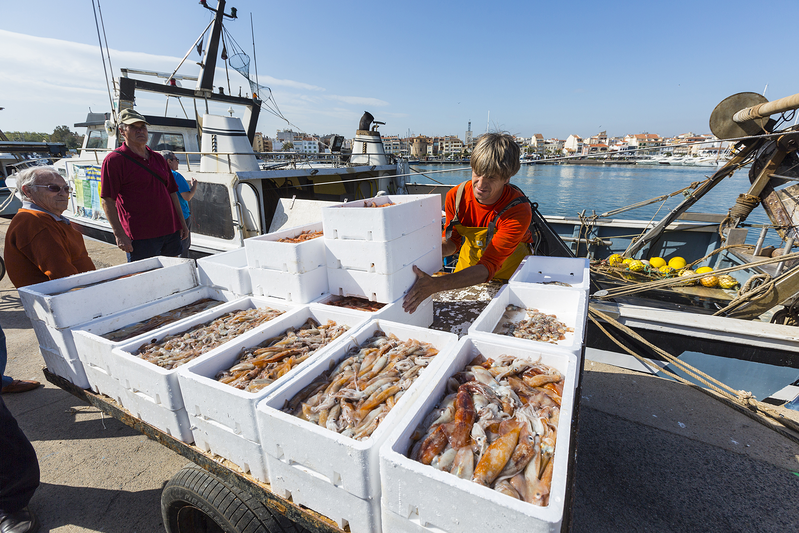 Inmo22 / Vhapartments.Com 9