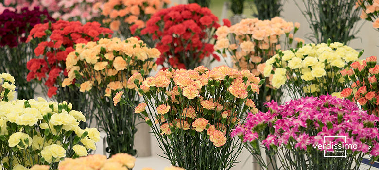 Florister&iacute;a Las Ni&ntilde;as Bormujos