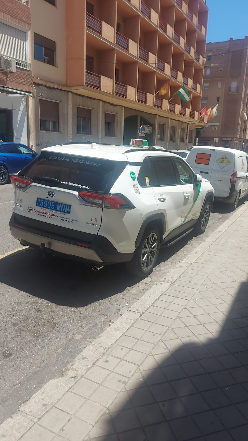 Servicio de Taxi Pinos Puente Pepe 13
