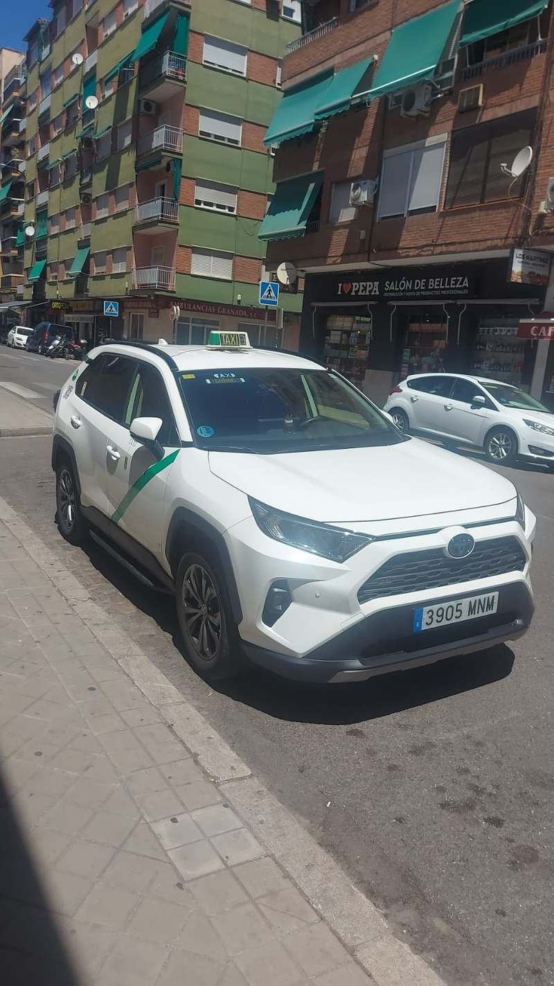 Servicio de Taxi Pinos Puente Pepe 12
