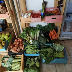 Galería de imágenes