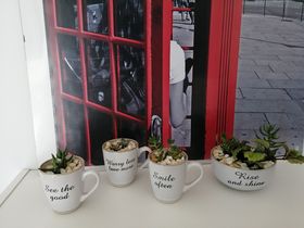 TOP English-Spanish 4