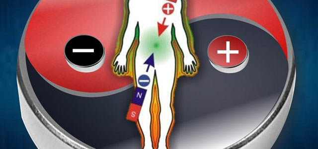 Adalberto Terapias 17