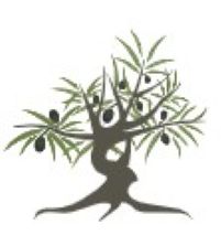 Maria Jose Cabrillas Contreras