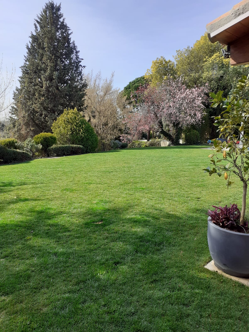 Ecojardines Iris Sl 2