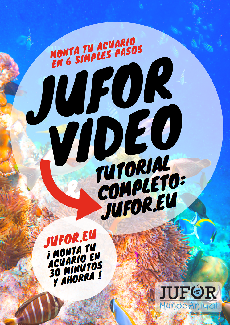 Jufor Mundo Animal 6