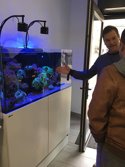 Galería de imágenes