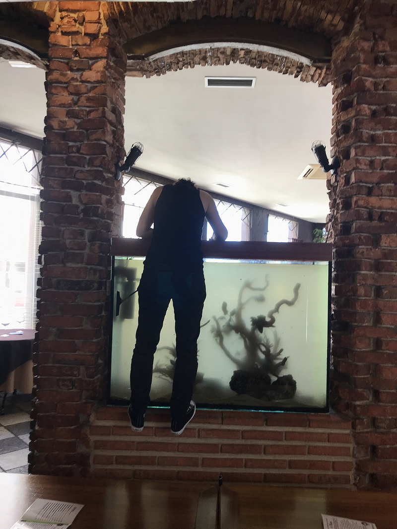 Jufor Mundo Animal 9