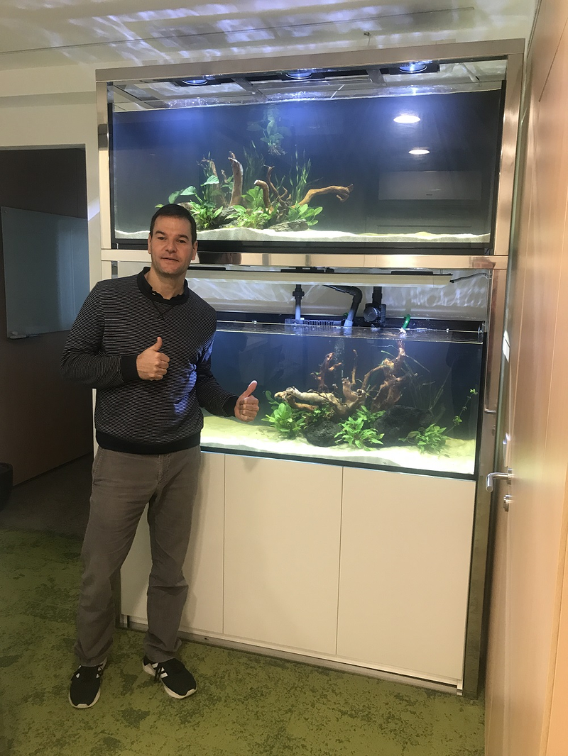 Jufor Mundo Animal 8