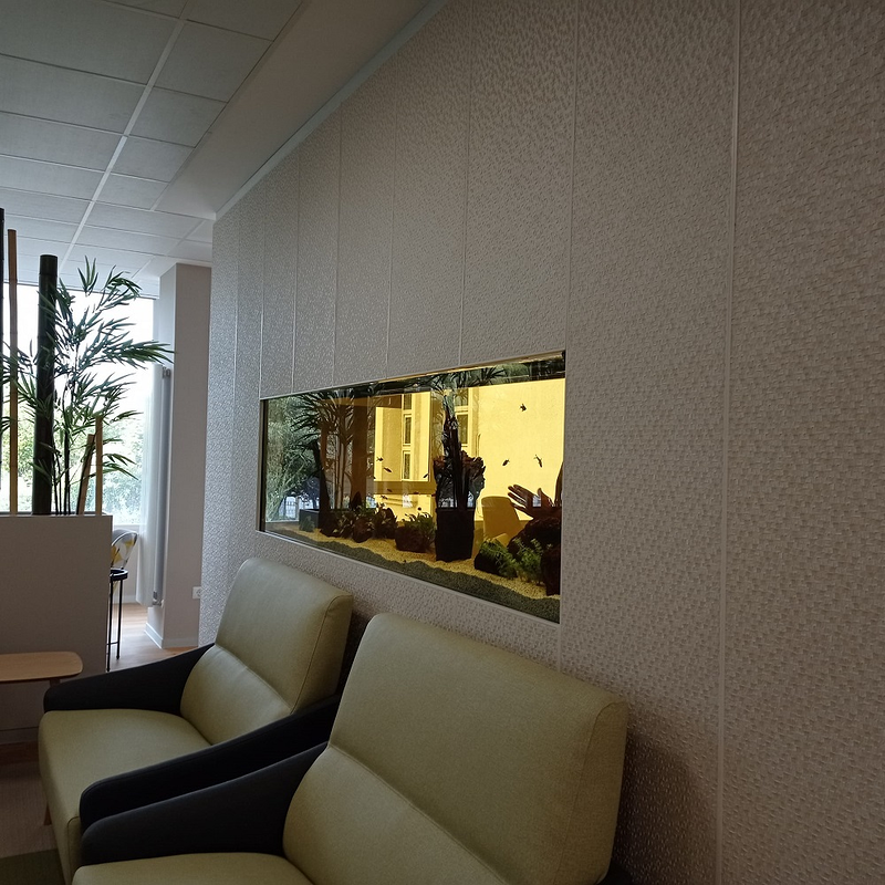 Jufor Mundo Animal 10