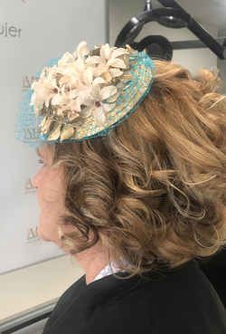 Galería de imágenes